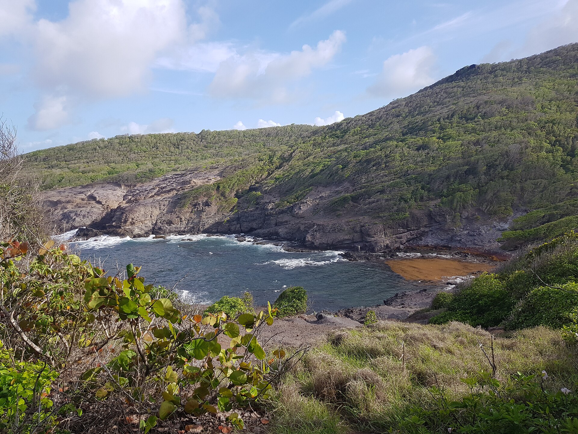 La presqu'île de la Caravelle, nature brute